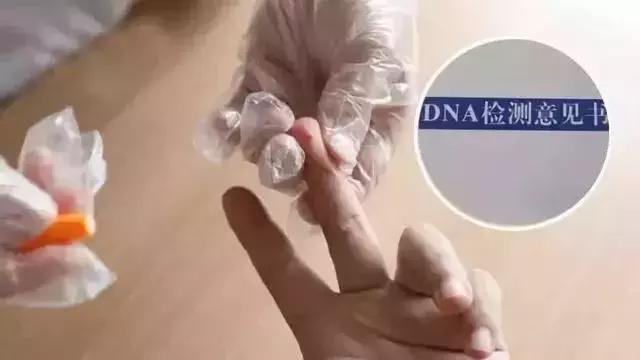 99%的亲子鉴定是压垮婚姻的最后一根稻草
