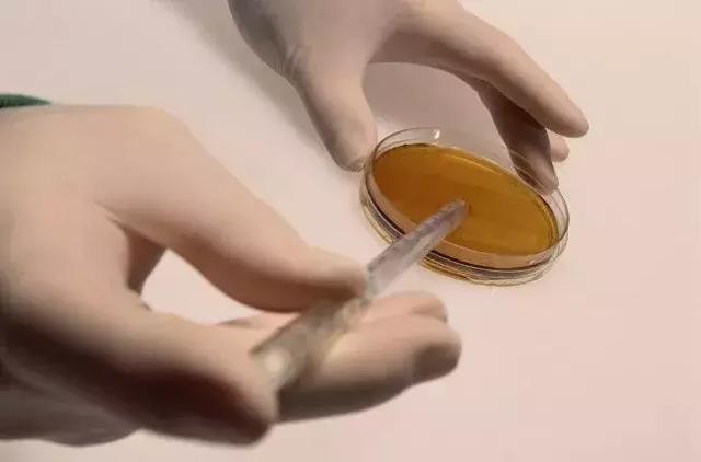 99%的亲子鉴定是压垮婚姻的最后一根稻草