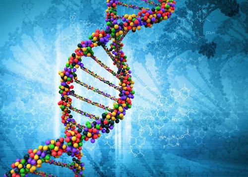 dna