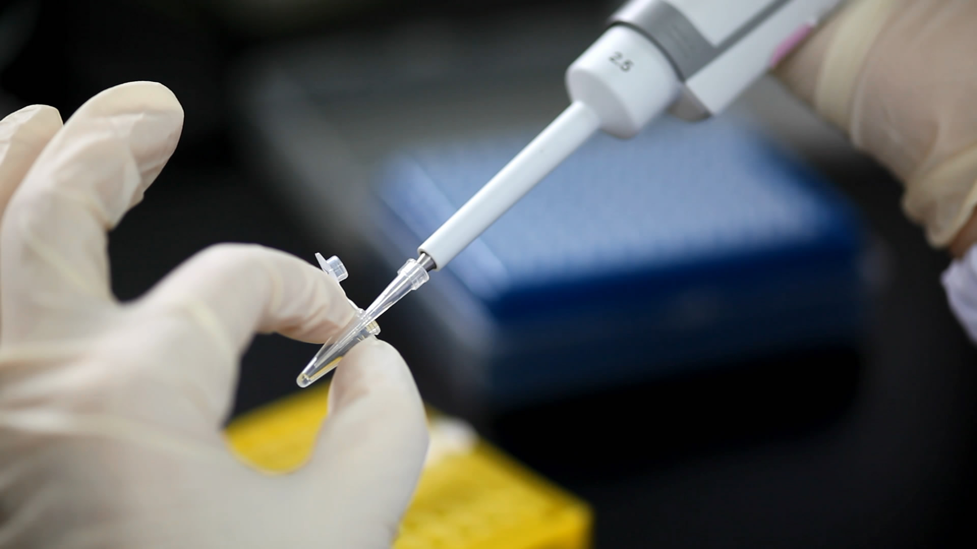 结果会出错吗？关于南京亲子鉴定准确率的科学解释